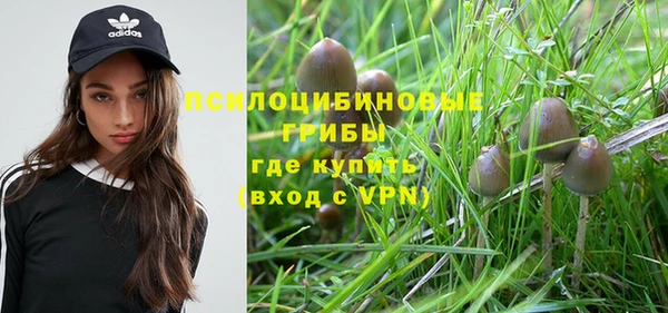 амфетамин Богданович